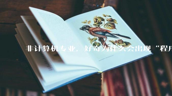 非计算机专业，好奇为什么会出现“程序依赖bug运行”的情况？