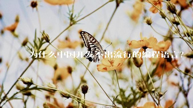 为什么中国开发不出流行的编程语言？