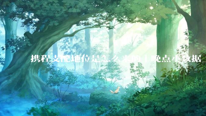 携程支配地位是怎么来的丨晚点小数据_接入_公司_市场