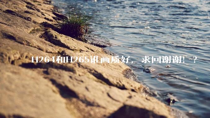 H264和H265谁画质好，求回谢谢！？