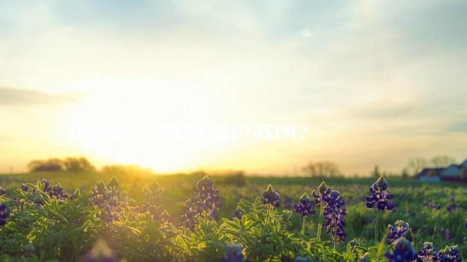 前端能否限制用户截图？