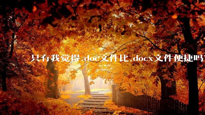只有我觉得.doc文件比.docx文件便捷吗？