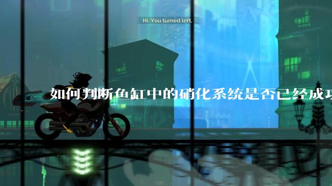 如何判断鱼缸中的硝化系统是否已经成功建立？